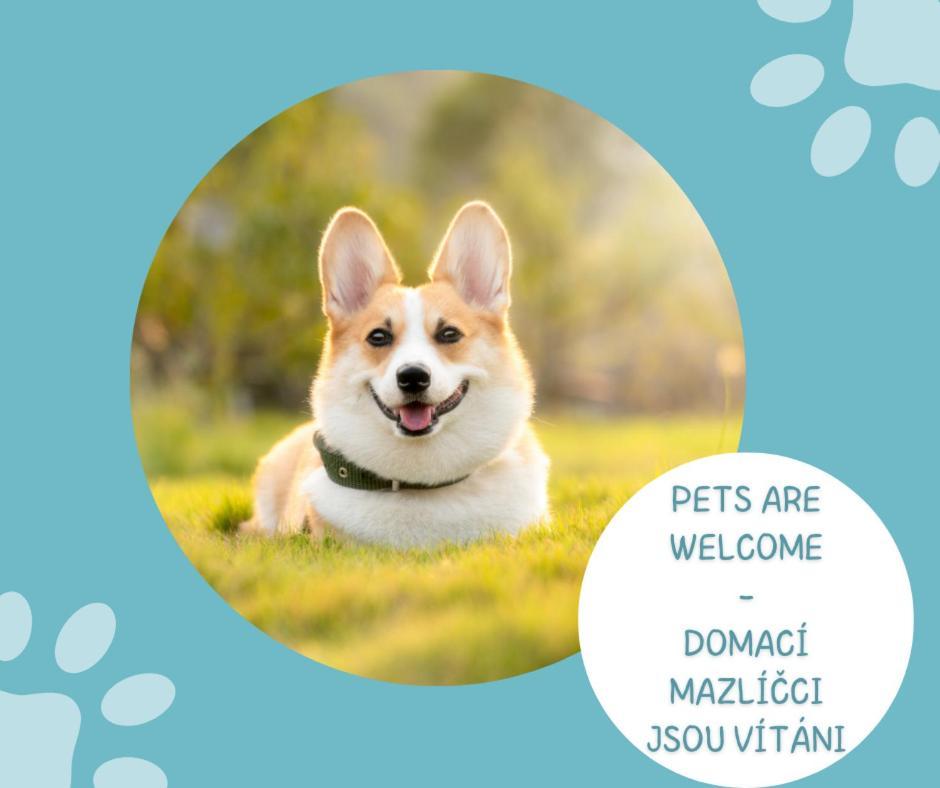 Tri Ruze 3* Špindlerŭv Mlýn